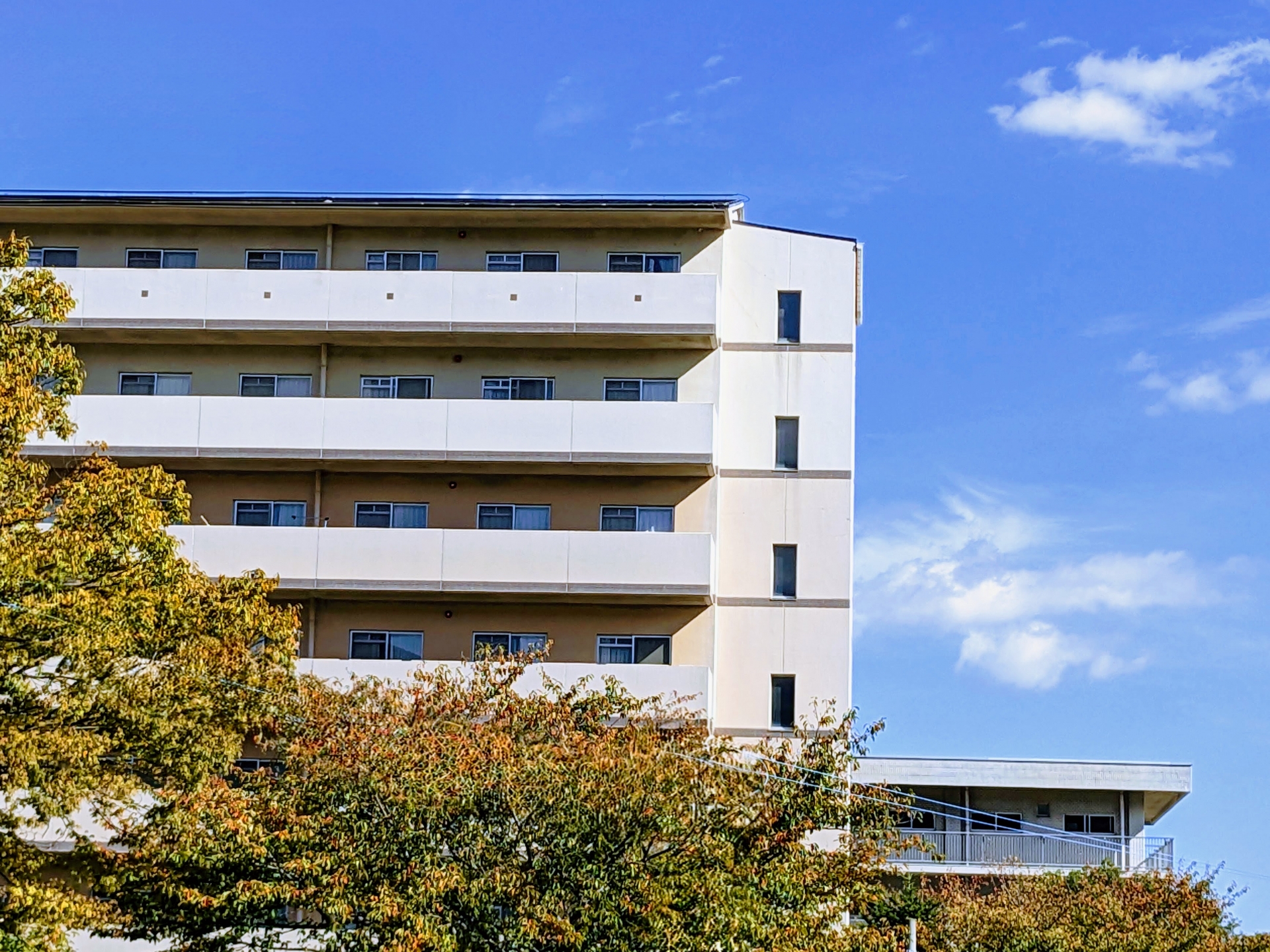 豊富な知識を持った専門性の高い精鋭スタッフ